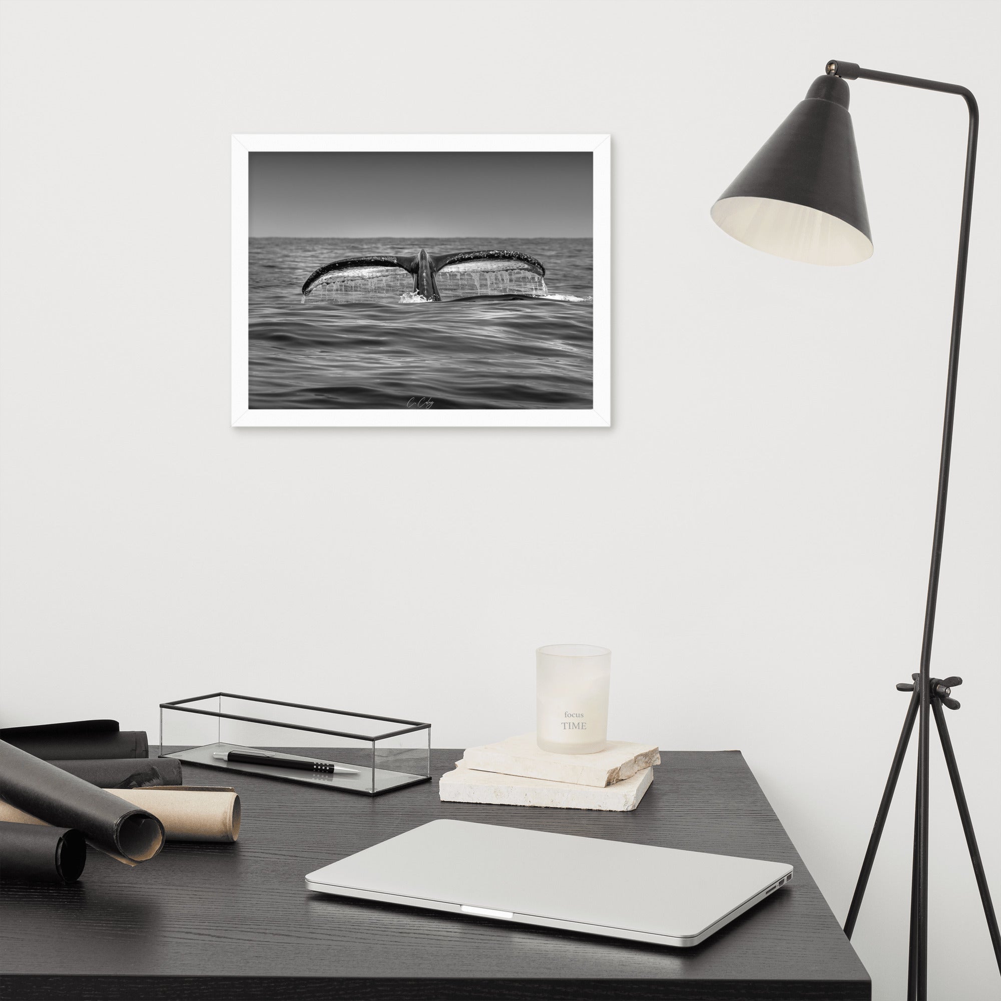 Photographie noir et blanc 'Baleine à Bosse N02' par Charles Coley, mettant en lumière la puissante et sereine nageoire caudale d'une baleine à bosse émergeant des eaux profondes et mystérieuses de l'océan.