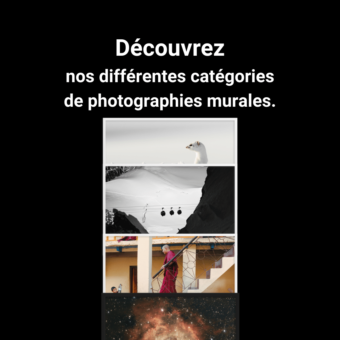 Boutique de poster
