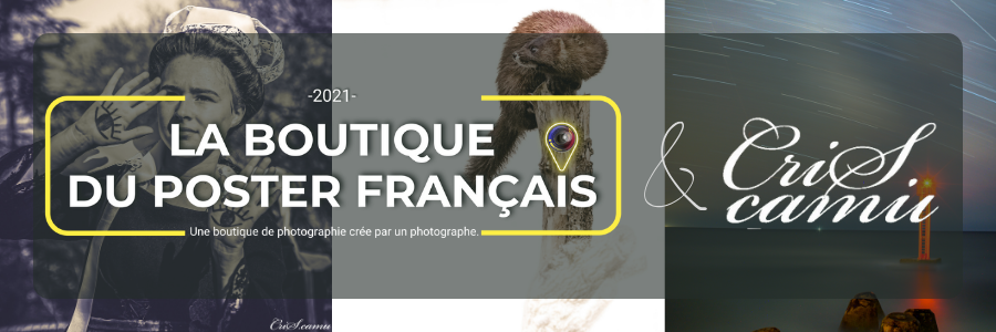 Photographe Bretagne