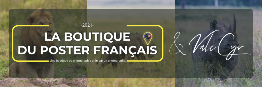 Photographes animaliers
