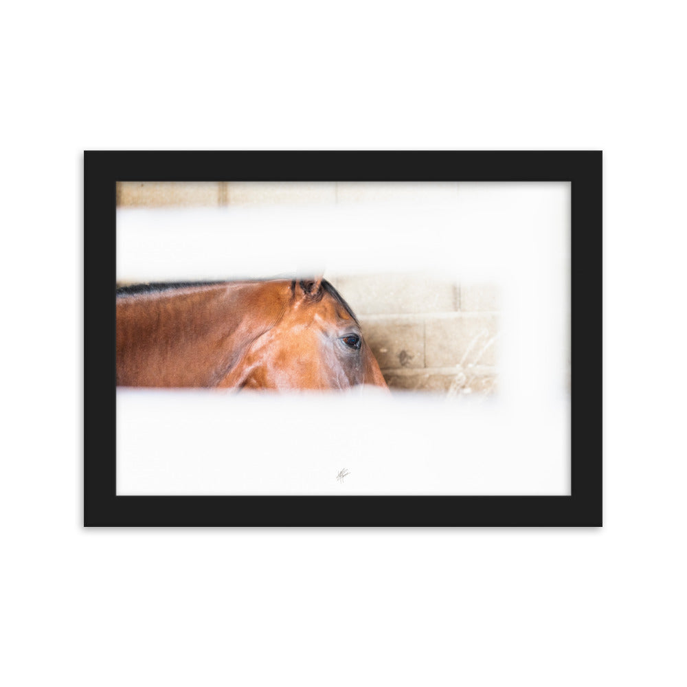 Poster artistique 'Confidence au box' signé Yann Peccard, représentant un cheval châtain dans un éclat de lumière, encadré et prêt à embellir votre espace.