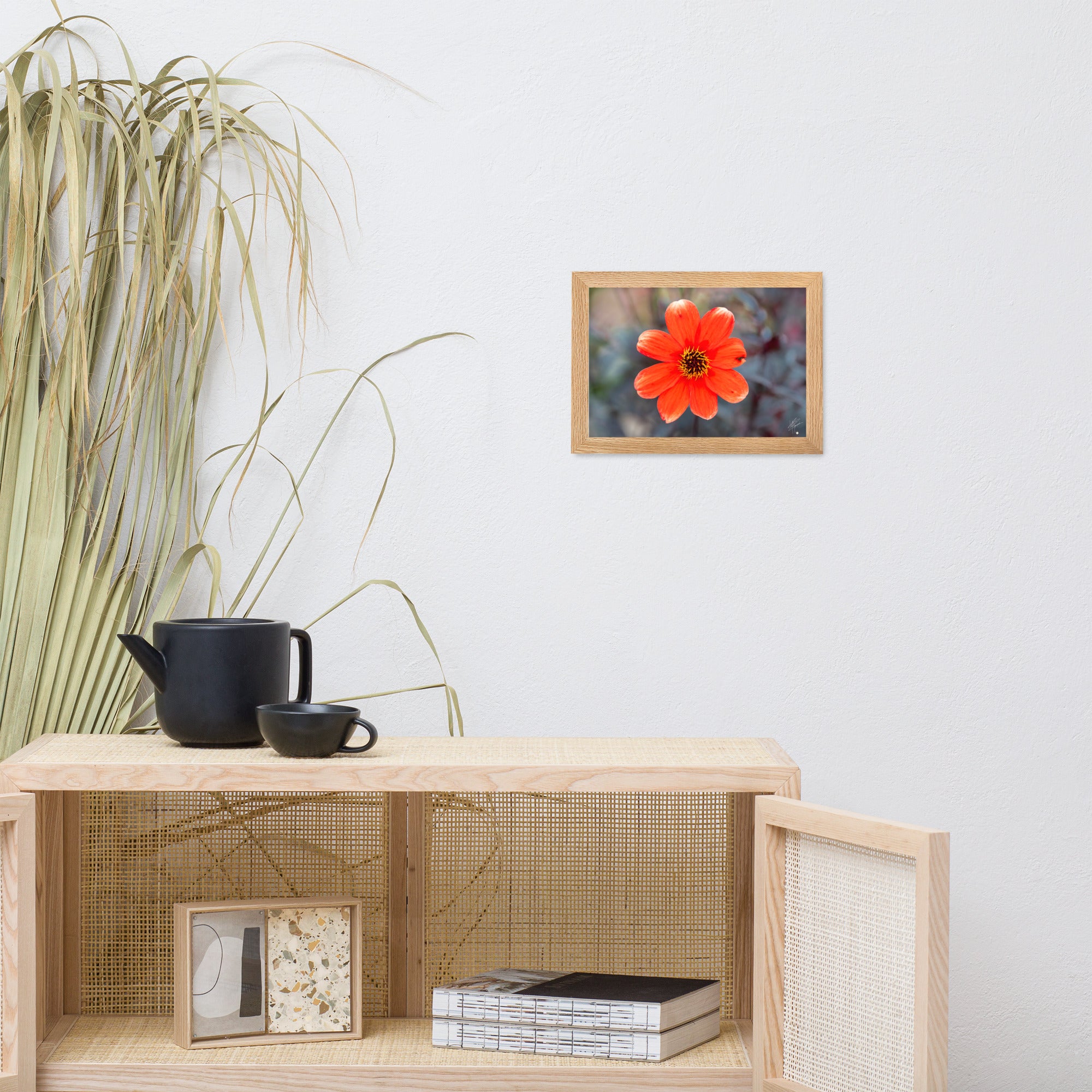 Photographie vibrante d'un Dahlia en pleine floraison, avec ses pétales détaillés et sa couleur éclatante, encadrée élégamment pour un affichage mural.