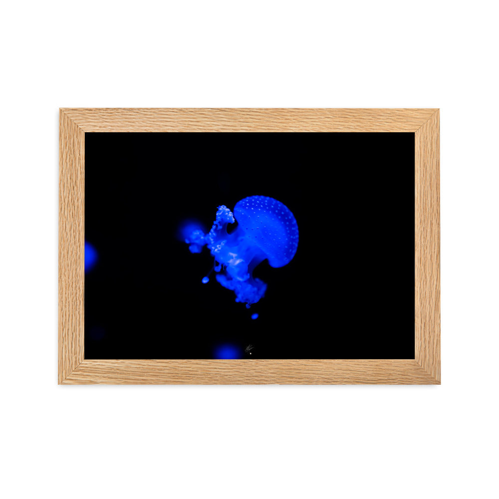 Photographie de méduse illuminée d'un éclat bleu hypnotique sur fond sombre, encadrée élégamment, par l'artiste Yann Peccard.