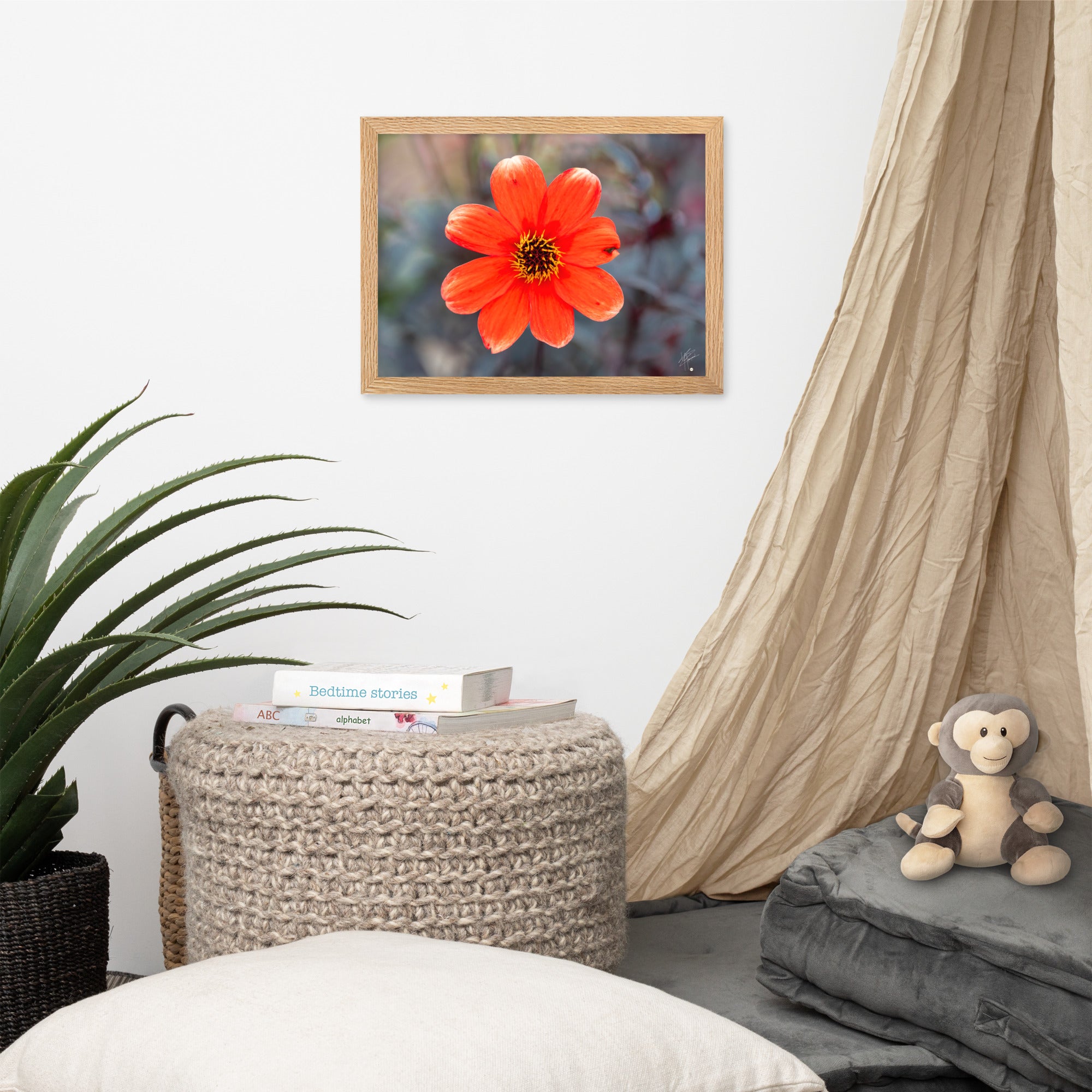 Photographie vibrante d'un Dahlia en pleine floraison, avec ses pétales détaillés et sa couleur éclatante, encadrée élégamment pour un affichage mural.