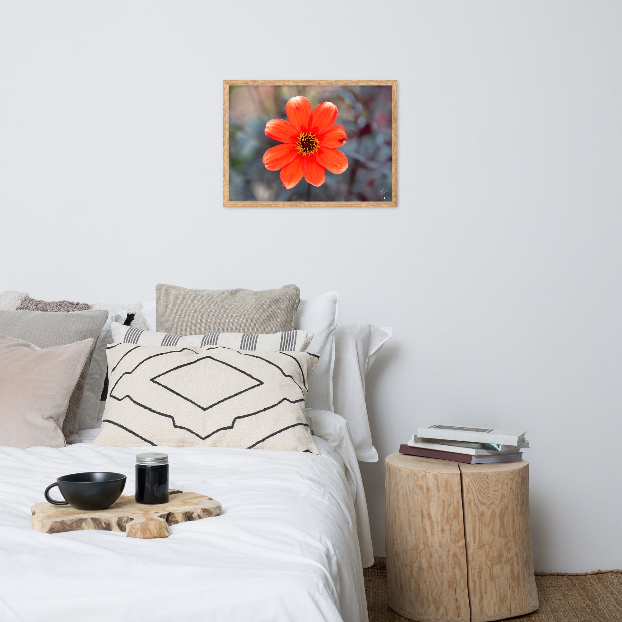 Photographie vibrante d'un Dahlia en pleine floraison, avec ses pétales détaillés et sa couleur éclatante, encadrée élégamment pour un affichage mural.