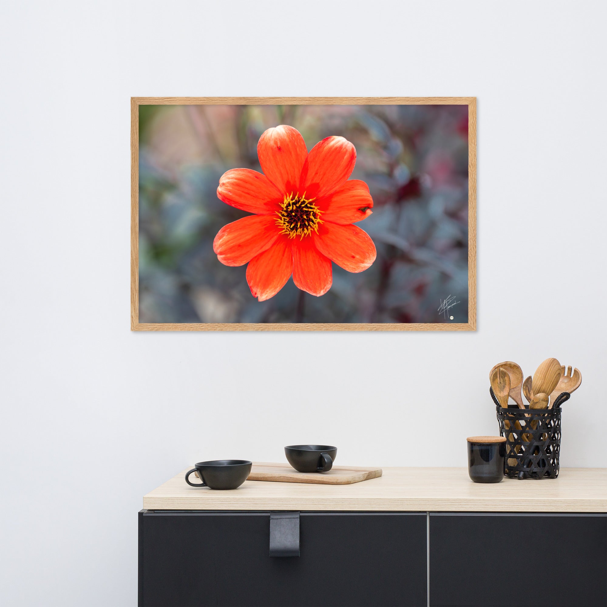 Photographie vibrante d'un Dahlia en pleine floraison, avec ses pétales détaillés et sa couleur éclatante, encadrée élégamment pour un affichage mural.