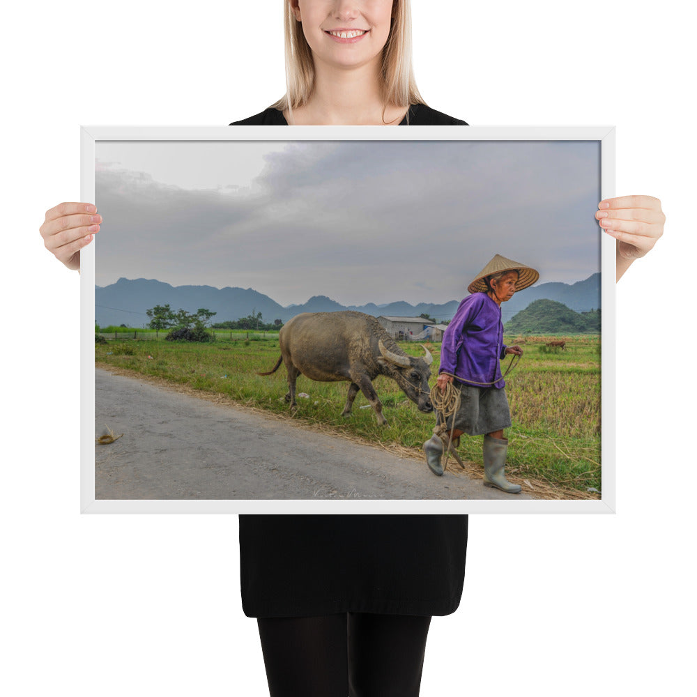 Poster 'Vietnam's Farmer' montrant une scène apaisante d'une fermière vietnamienne et son buffle, capturée par Victor Marre, transportant la sérénité et la simplicité de la vie rurale vietnamienne dans votre espace.