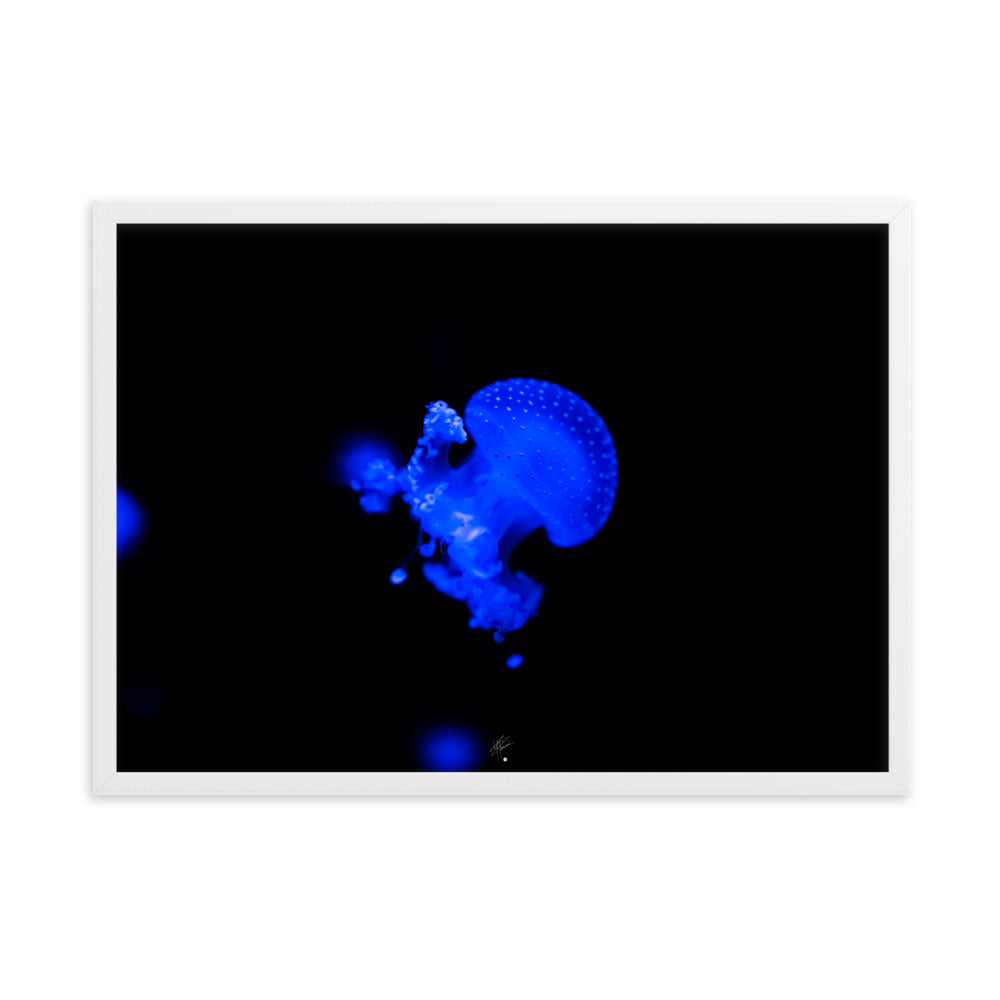 Photographie de méduse illuminée d'un éclat bleu hypnotique sur fond sombre, encadrée élégamment, par l'artiste Yann Peccard.