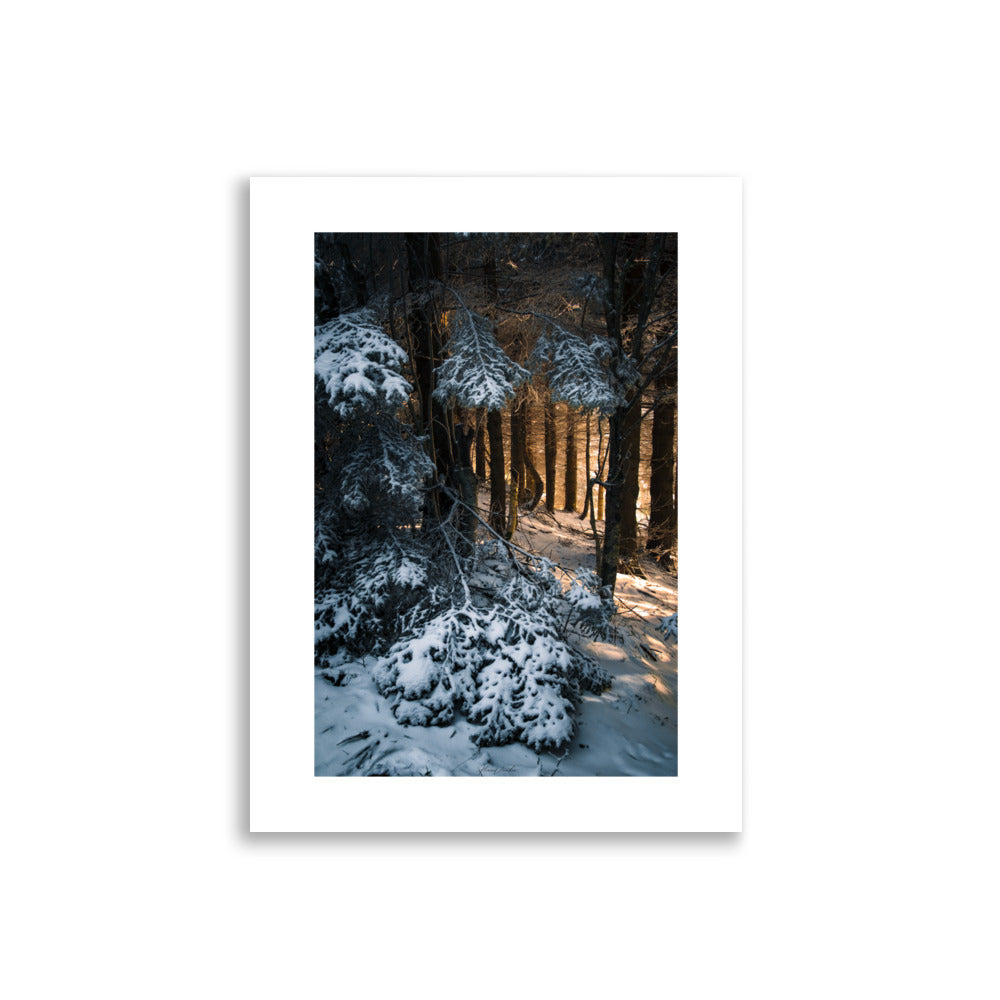 Affiche nature 
