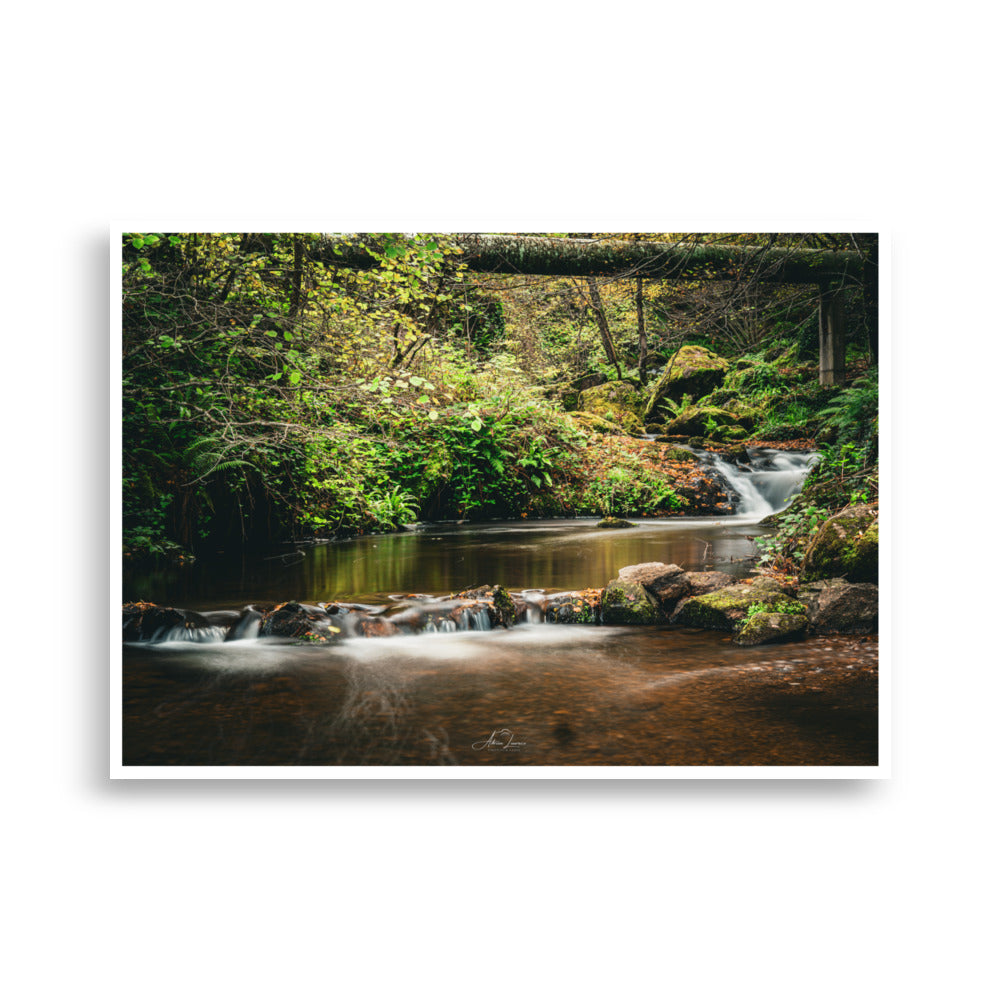 Affiche nature