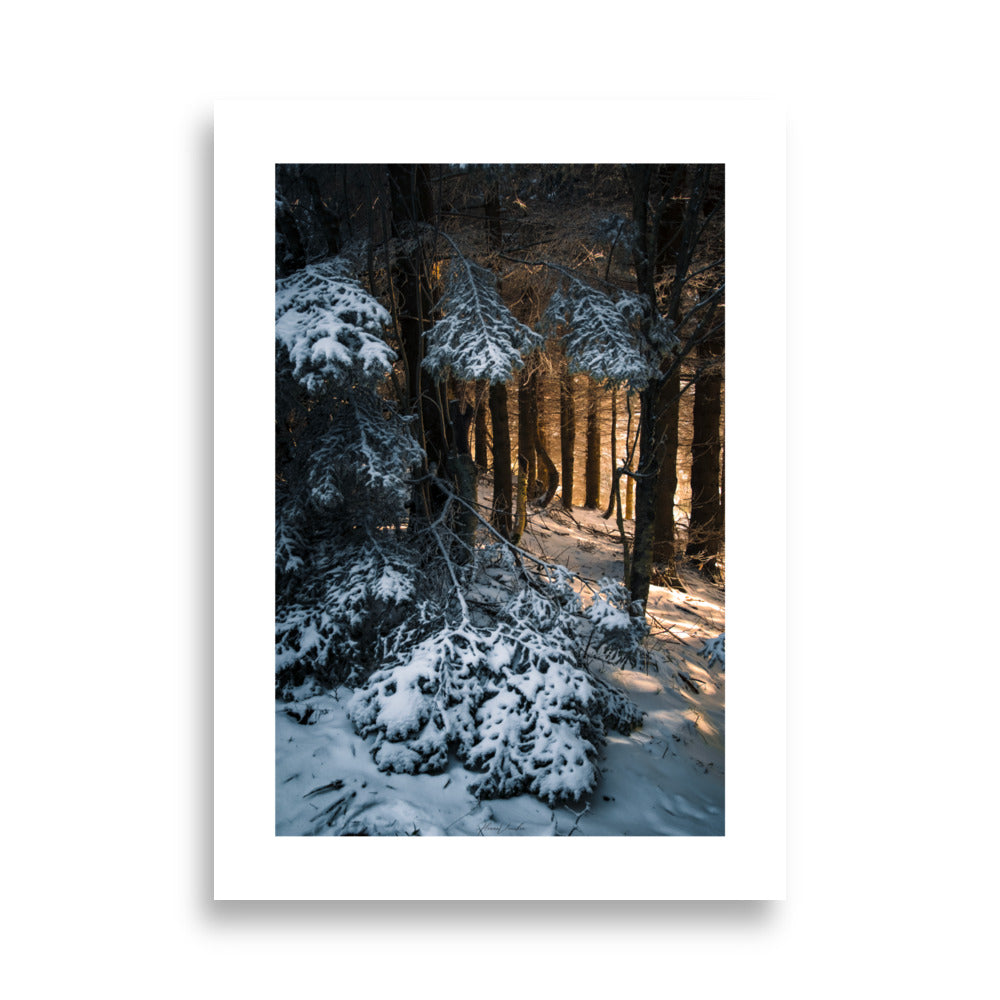 Photographie de Florian Vaucher Photographe Homme Franco Suisse 