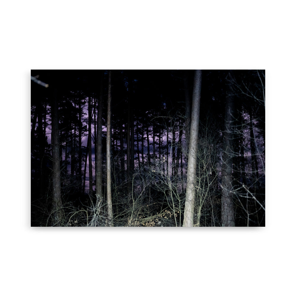 Poster de photographie d'une forêt la nuit éclairée par la lune, située dans le Cantal, près de la ville de Mauriac.