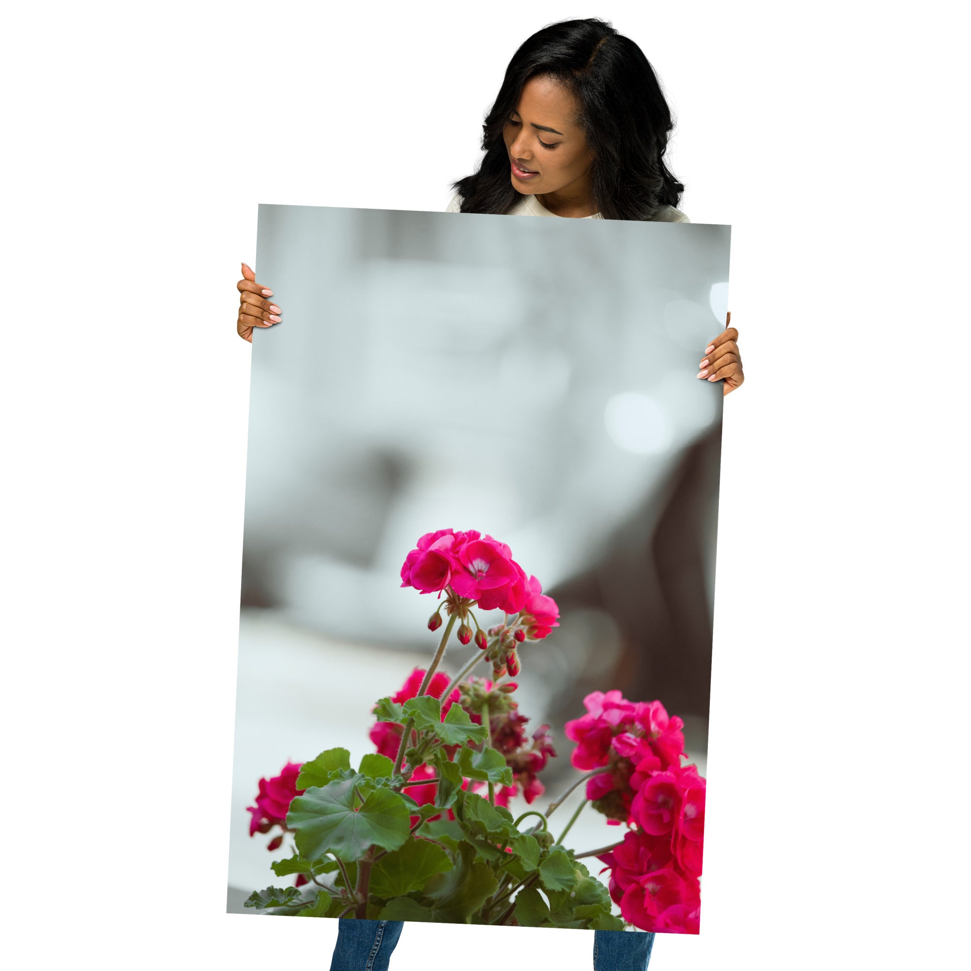 Poster 'Géraniums' présentant une photographie détaillée de géraniums en pleine floraison.