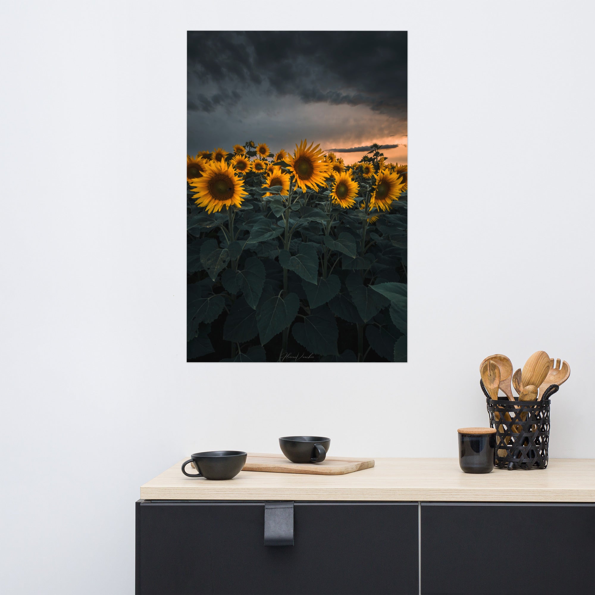 Champ luxuriant de tournesols vibrants sous le ciel d'été, photographié par Florian Vaucher.
