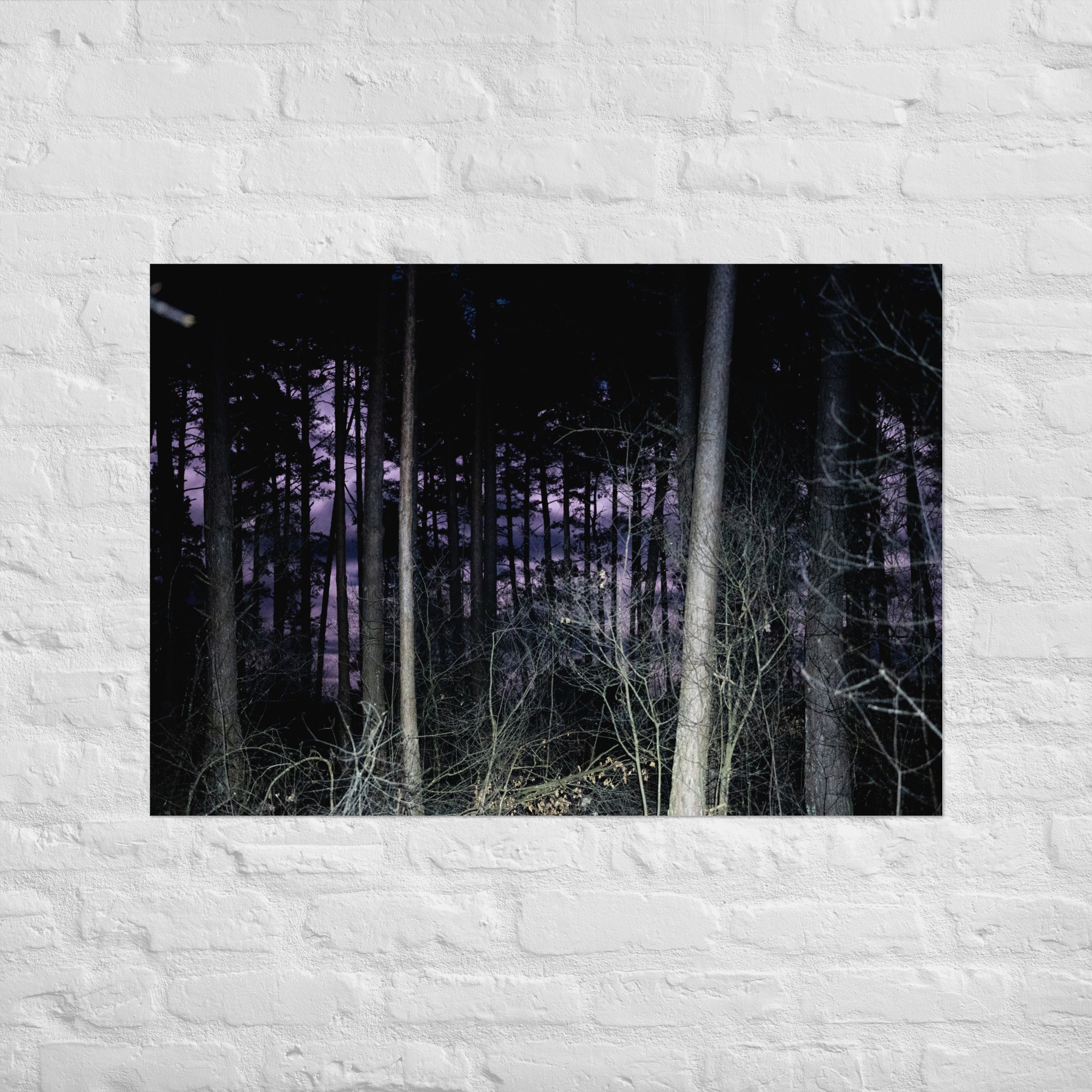 La Forêt Magique - Poster