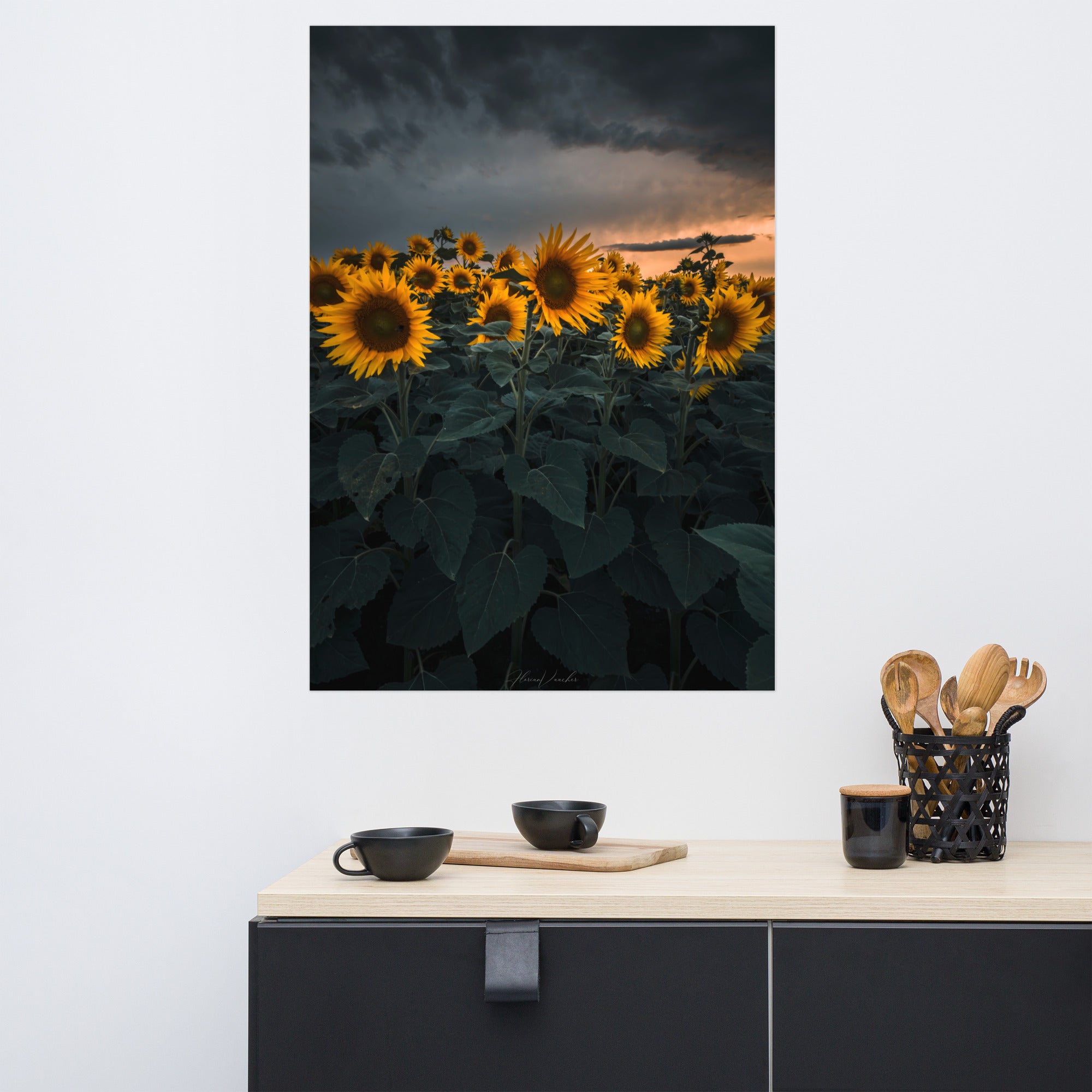 Champ luxuriant de tournesols vibrants sous le ciel d'été, photographié par Florian Vaucher.
