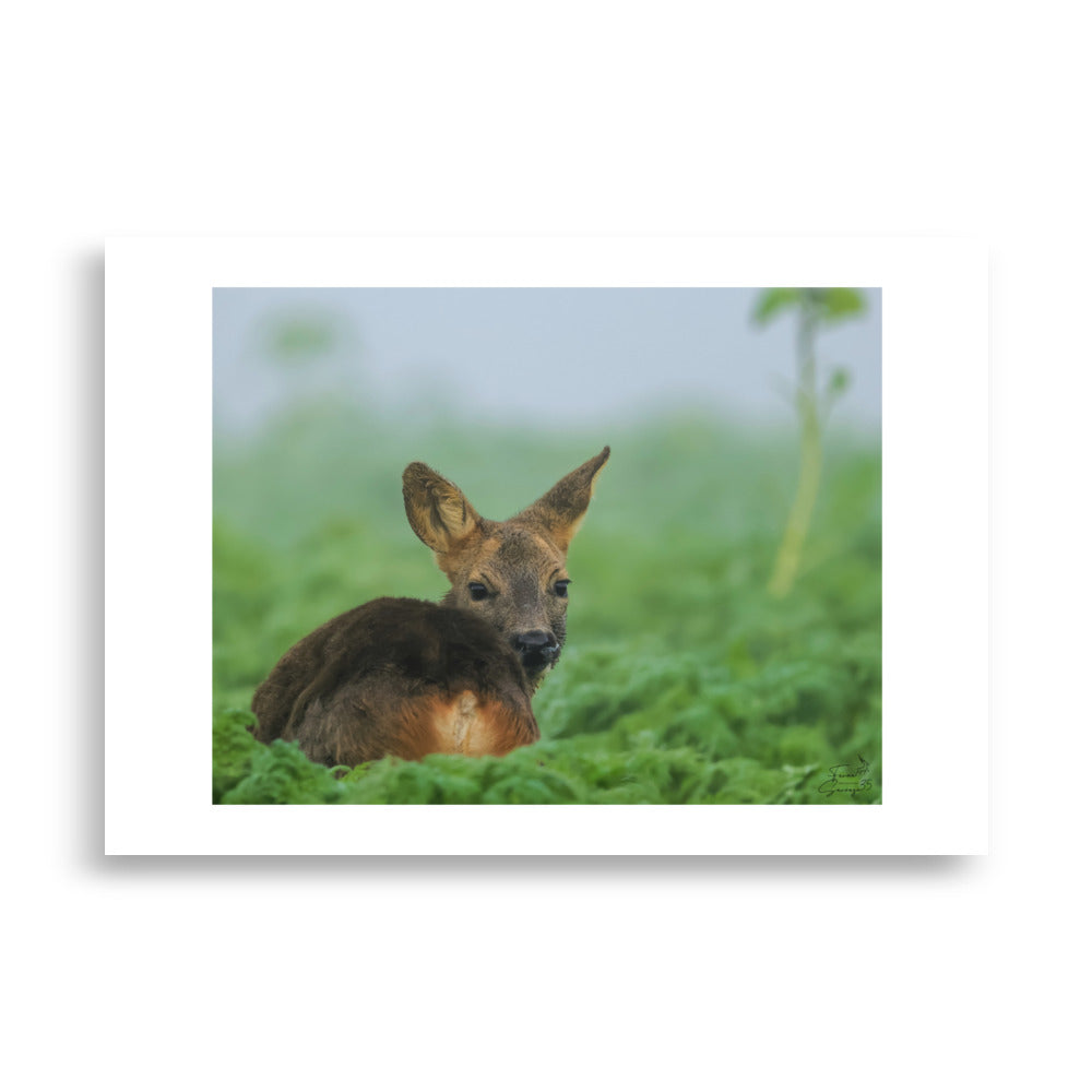 Poster d'un animal dans la nature