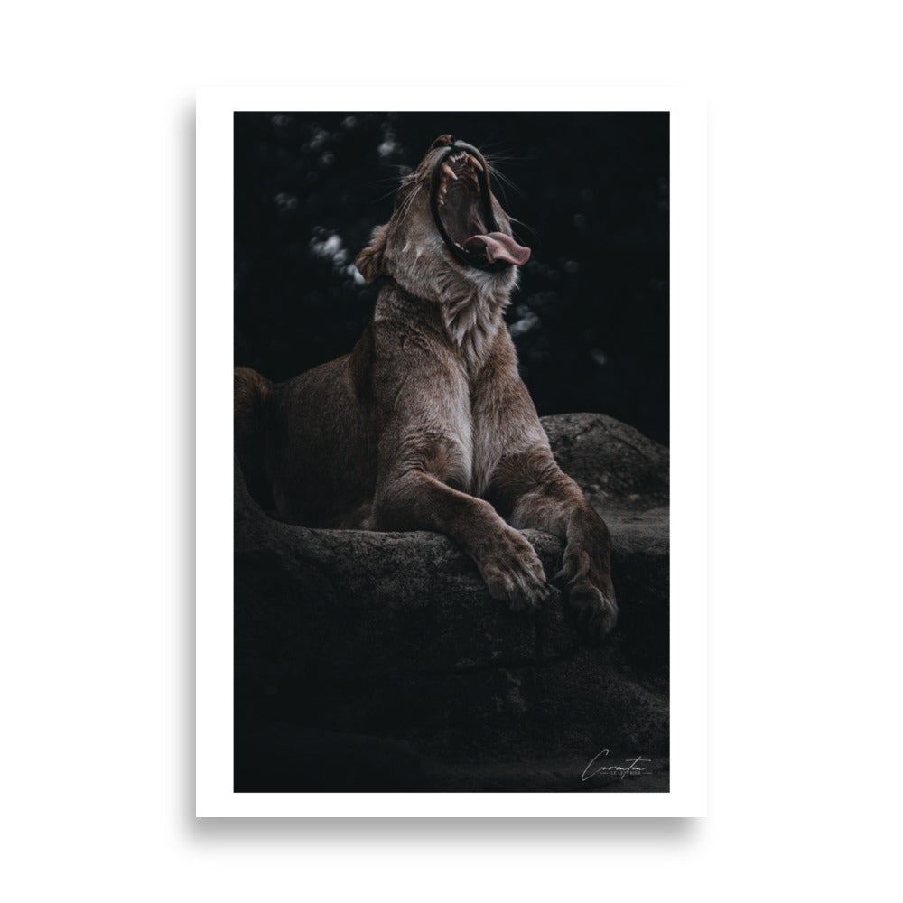 poster photo - Lionne qui rugie - Corentin Le Lepvrier - Affiche murale 70x100