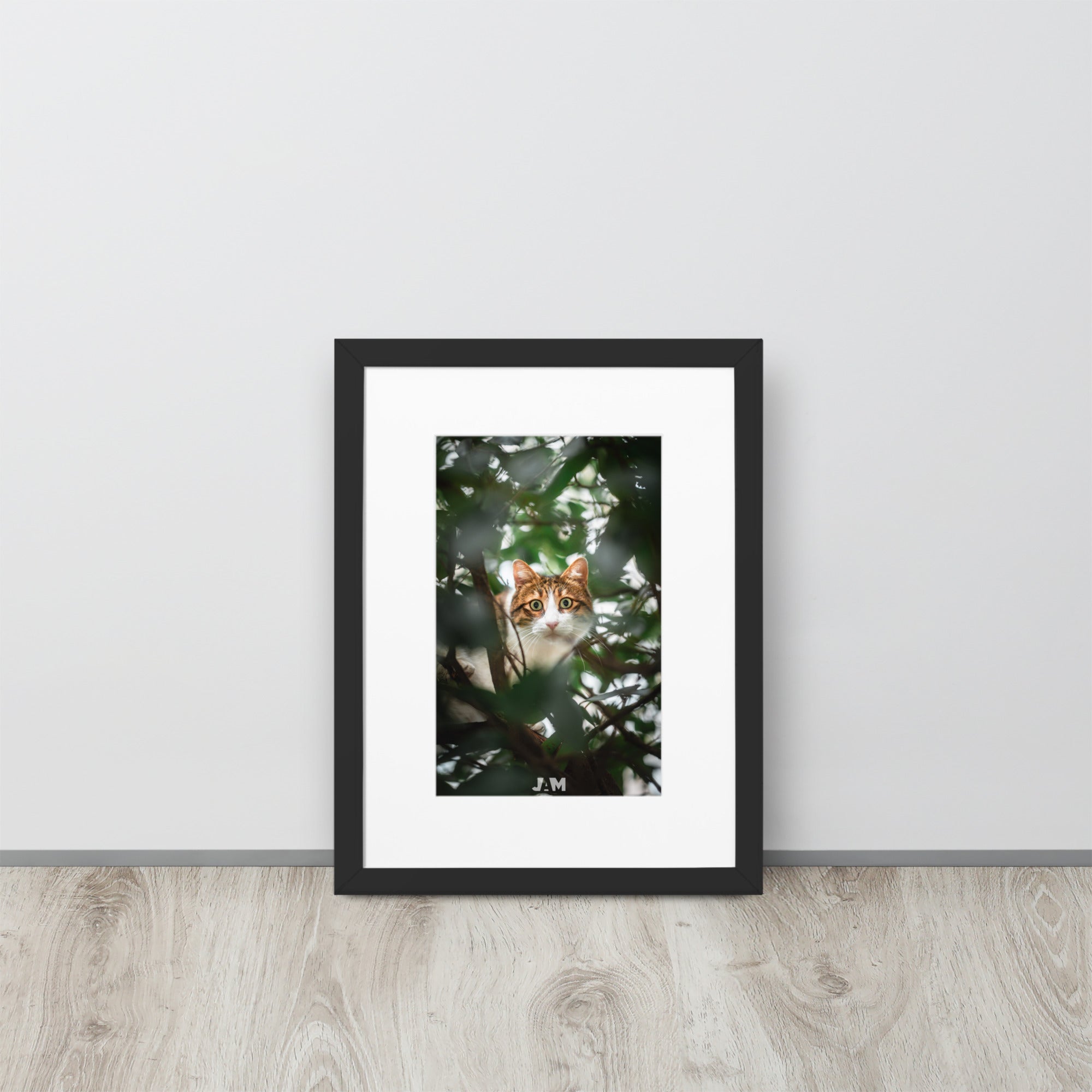 Poster 'Gros yeux', mettant en scène un chat dissimulé derrière des plantes, ses yeux largement ouverts fixant l'objectif avec intense curiosité et malice, capturé magnifiquement par le photographe Julien Arnold.