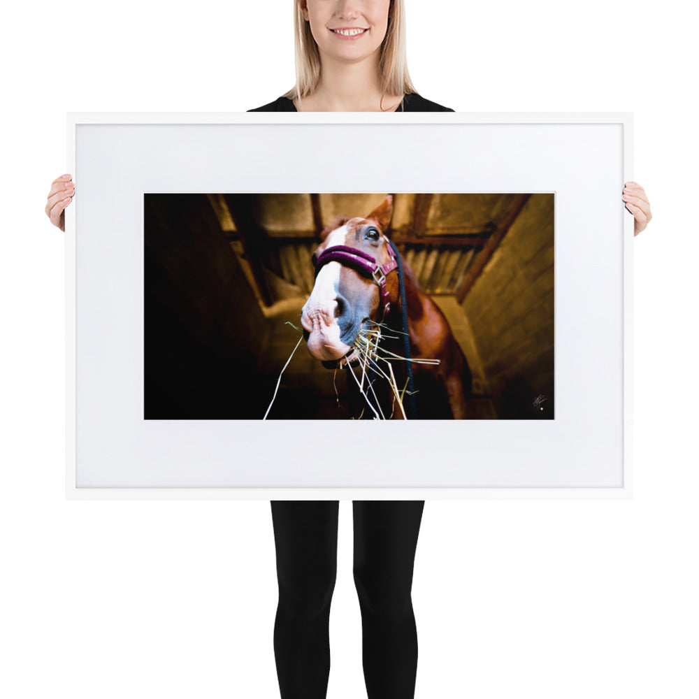 Poster encadré 'La Jument' capturant un moment intime d'une jument en train de manger, avec ses narines en premier plan et un regard curieux posé sur l'appareil photo.