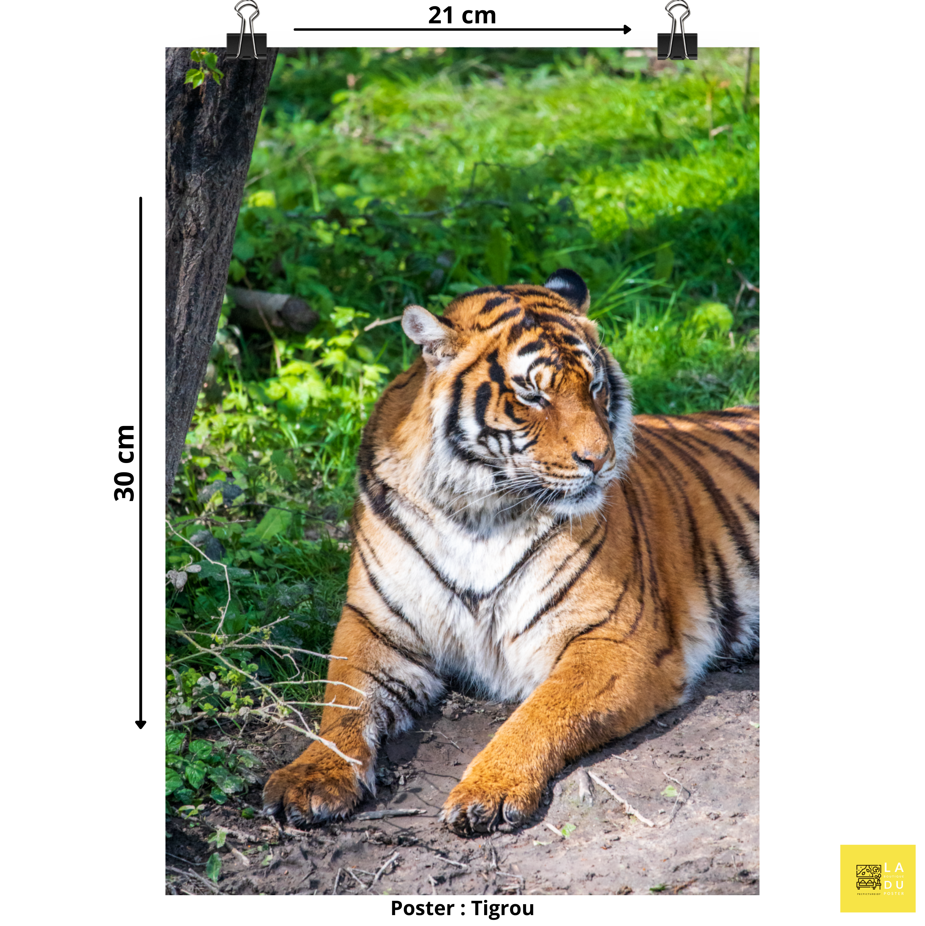 Tigre de Malaisie N03 - Poster - La boutique du poster Français