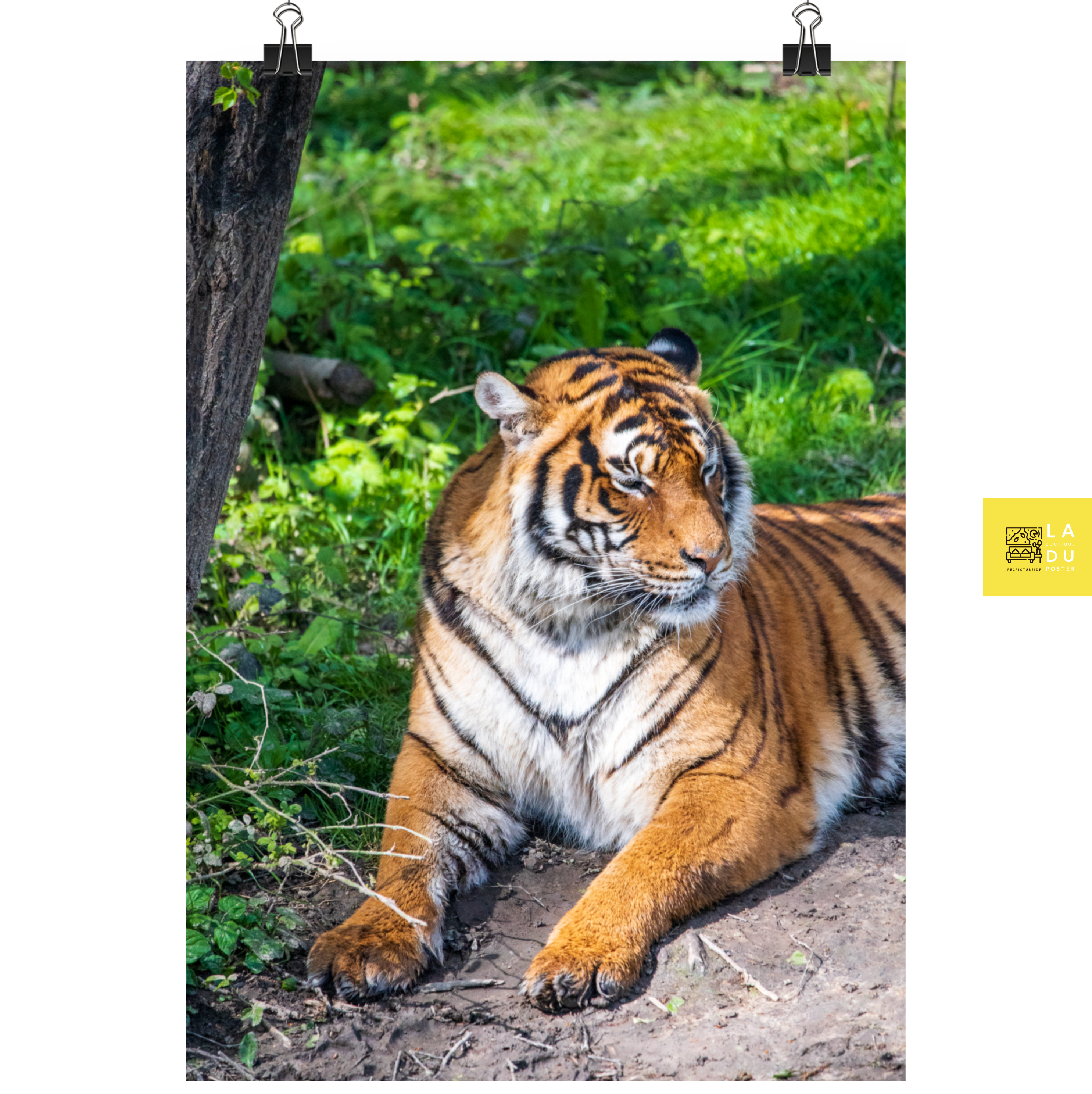 Tigre de Malaisie N03 - Poster - La boutique du poster Français