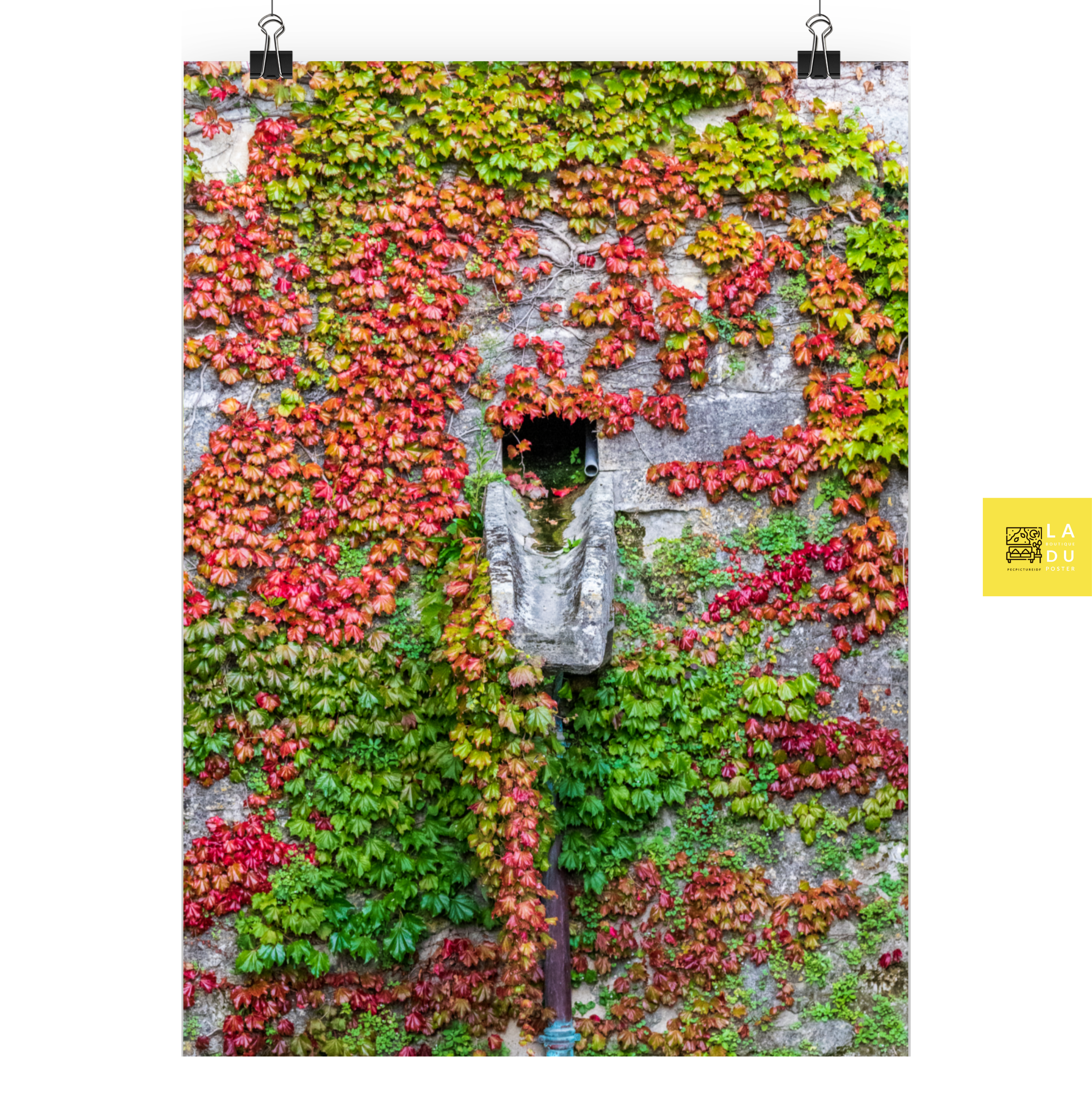 Un mur tout en couleurs - Poster - La boutique du poster Français