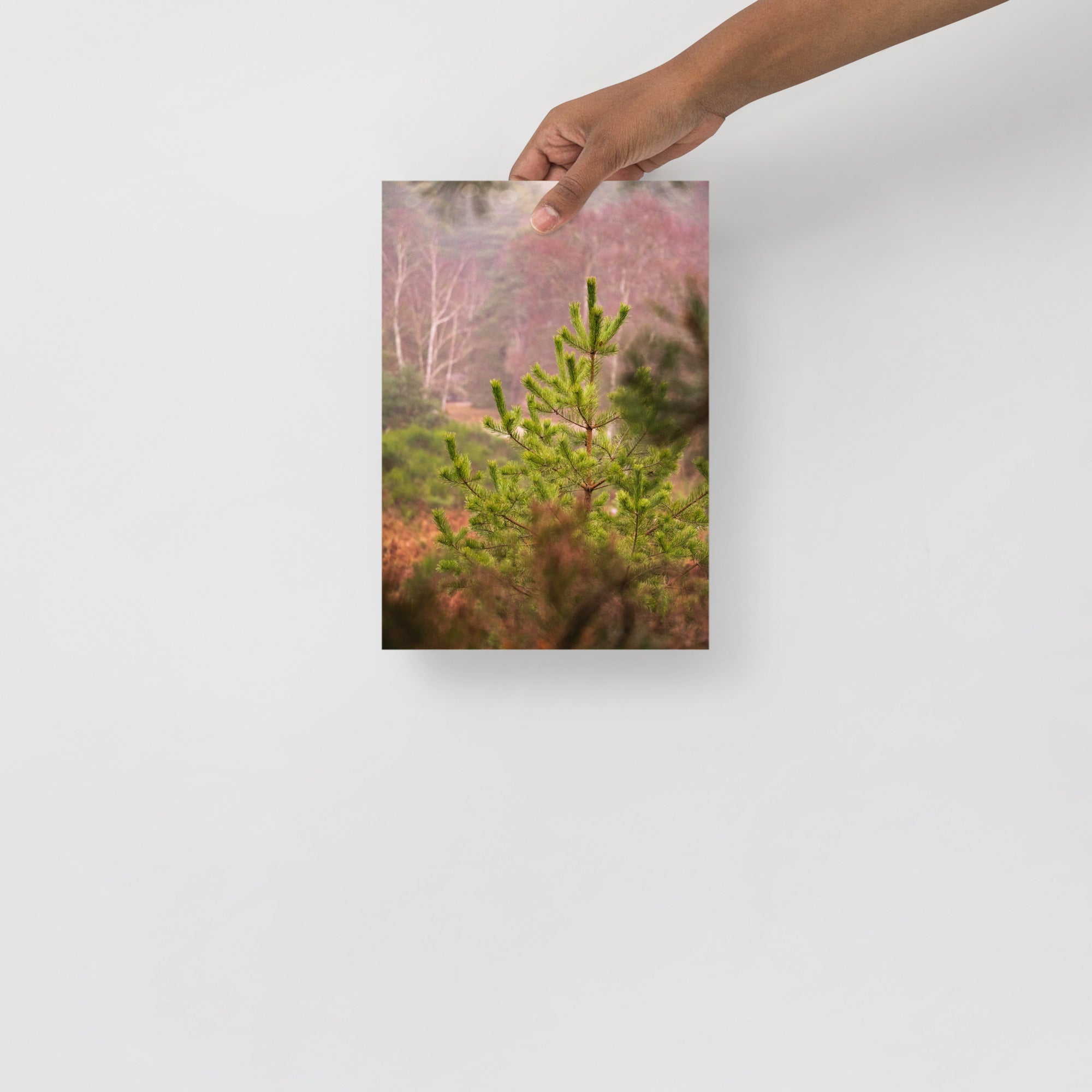Poster mural - Art.Nature N01 – Photographie de la nature – Poster photo, poster XXL, Photo d’art, photographie murale et des posters muraux e des photographies de rue unique au monde. La boutique de posters créée par un Photographe français.