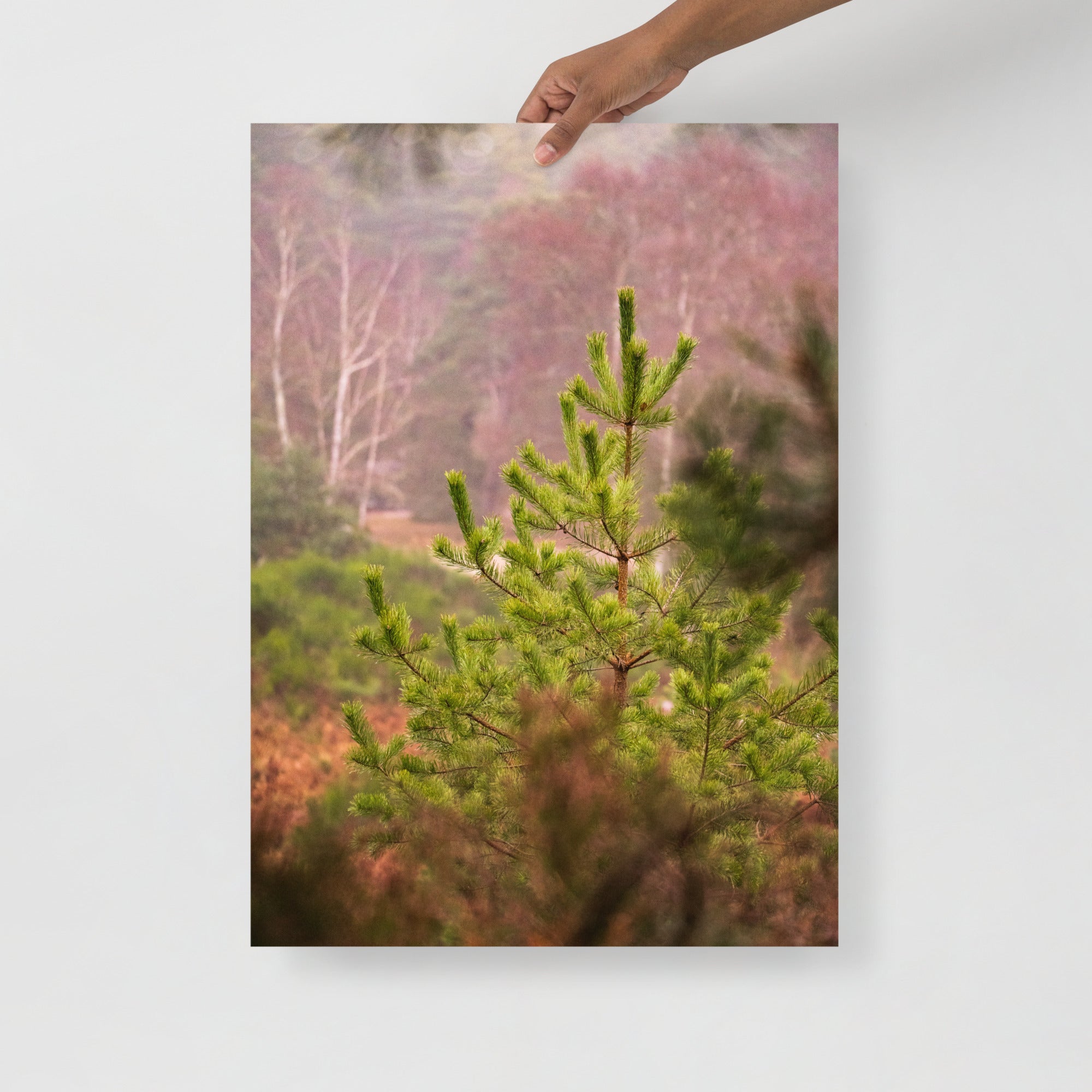 Poster mural - Art.Nature N01 – Photographie de la nature – Poster photo, poster XXL, Photo d’art, photographie murale et des posters muraux e des photographies de rue unique au monde. La boutique de posters créée par un Photographe français.
